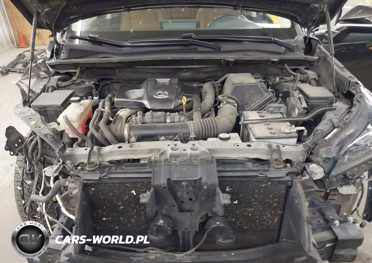 2020 Lexus Nx 300 VIN:JTJGARDZXL5006658 - 10