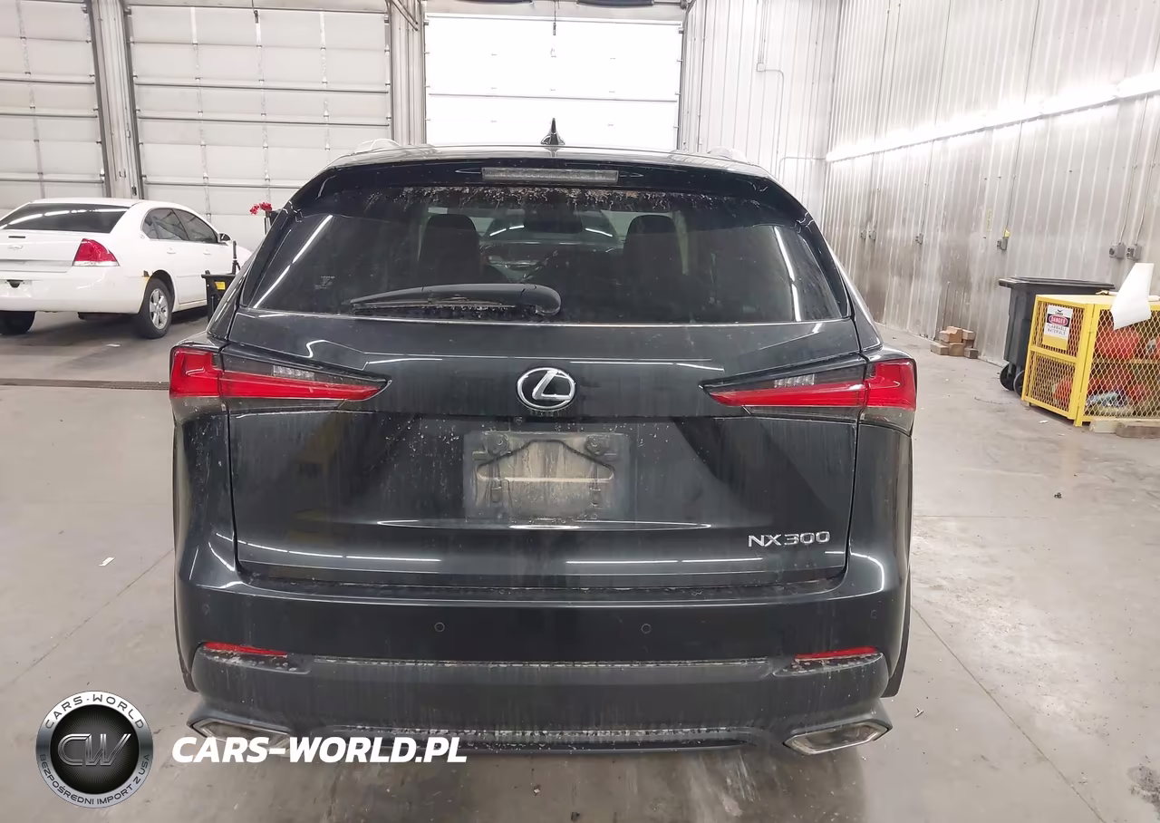 2020 Lexus Nx 300 VIN:JTJGARDZXL5006658 - 17