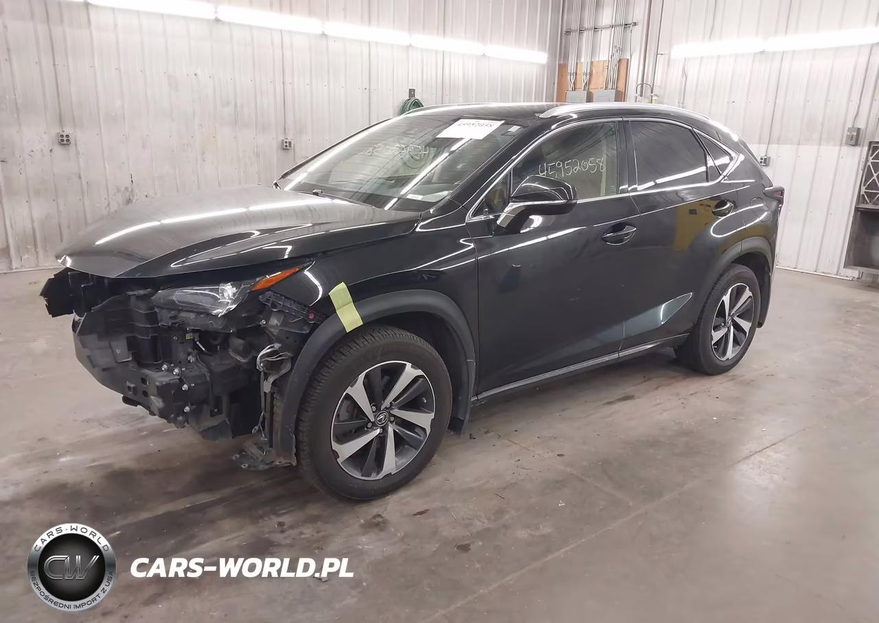 2020 Lexus Nx 300 VIN:JTJGARDZXL5006658 - 2