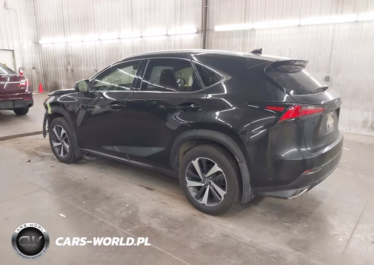 2020 Lexus Nx 300 VIN:JTJGARDZXL5006658 - 3