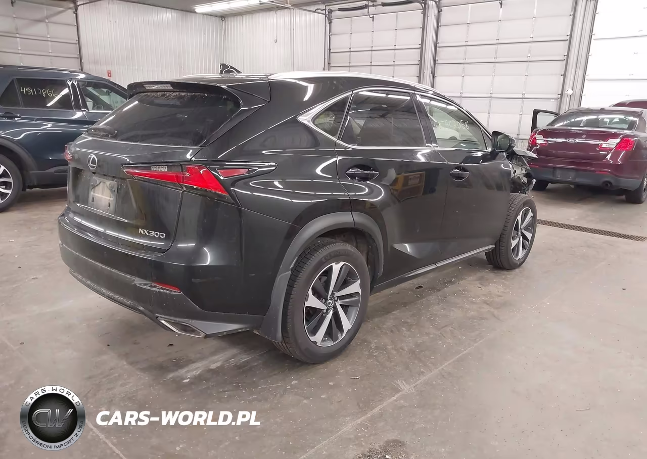 2020 Lexus Nx 300 VIN:JTJGARDZXL5006658 - 4