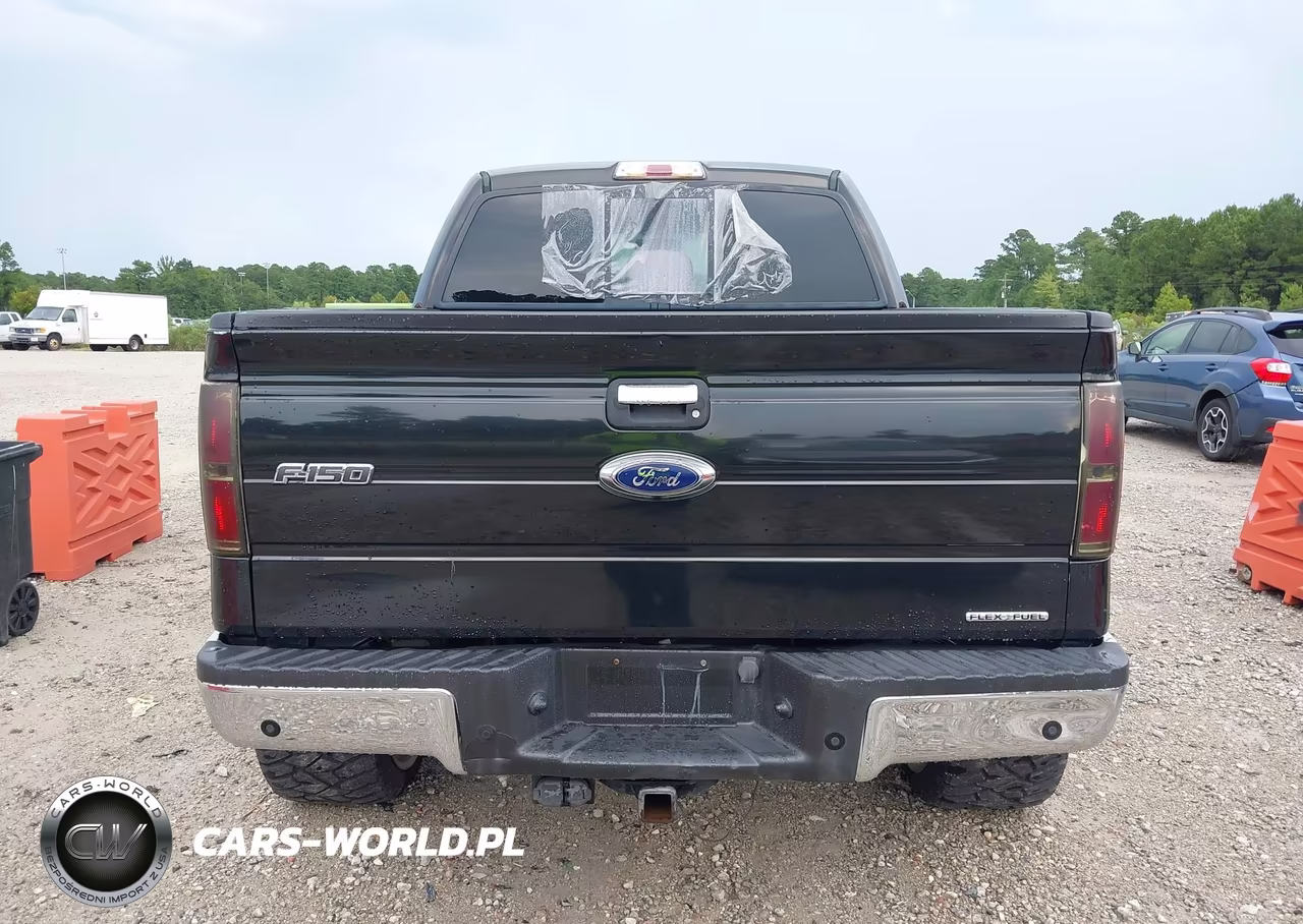 2012 Ford F-150 Xlt VIN:1FTFW1EF5CFC66692 - 16