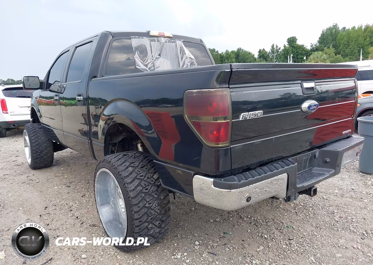 2012 Ford F-150 Xlt VIN:1FTFW1EF5CFC66692 - 3