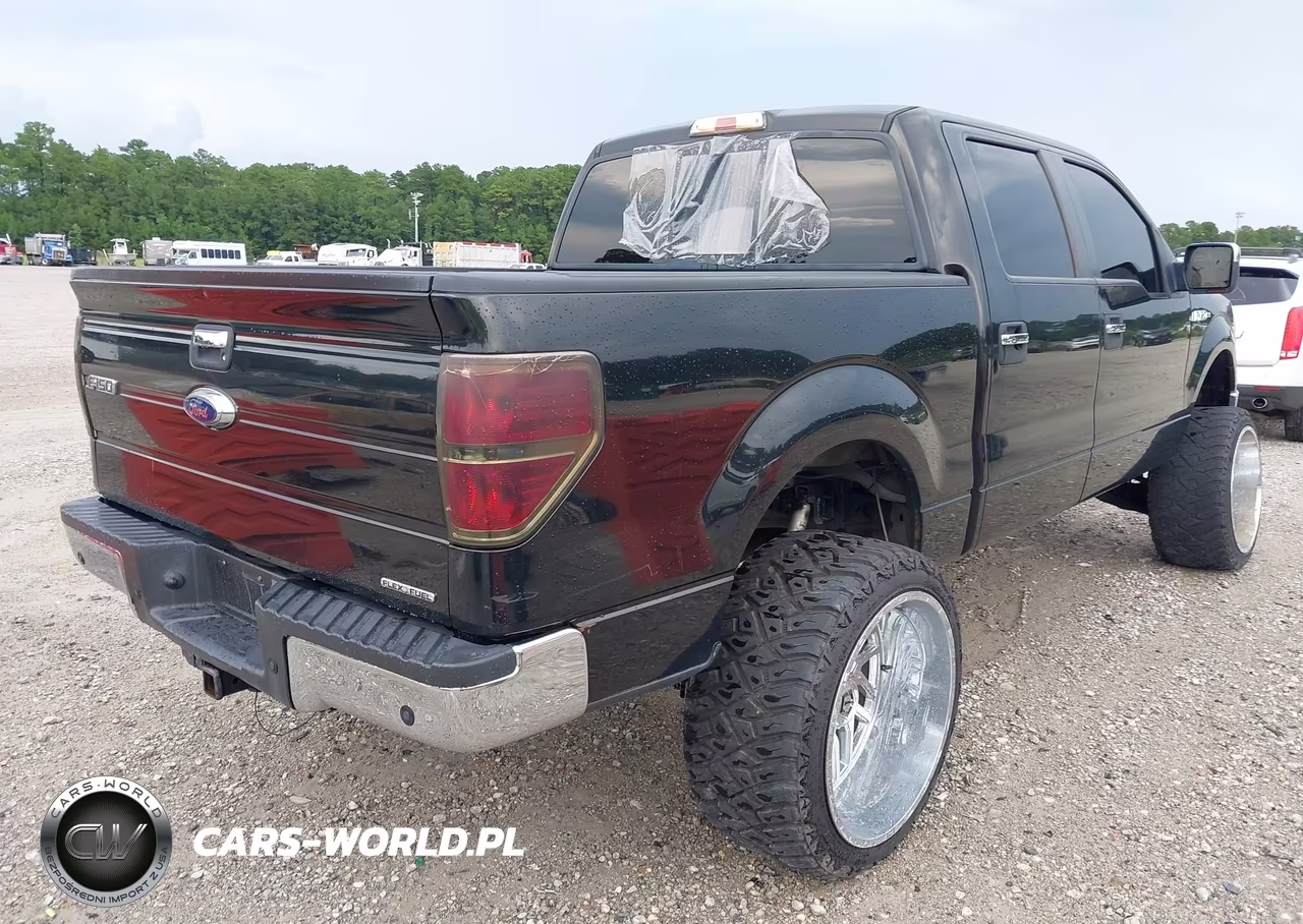2012 Ford F-150 Xlt VIN:1FTFW1EF5CFC66692 - 4