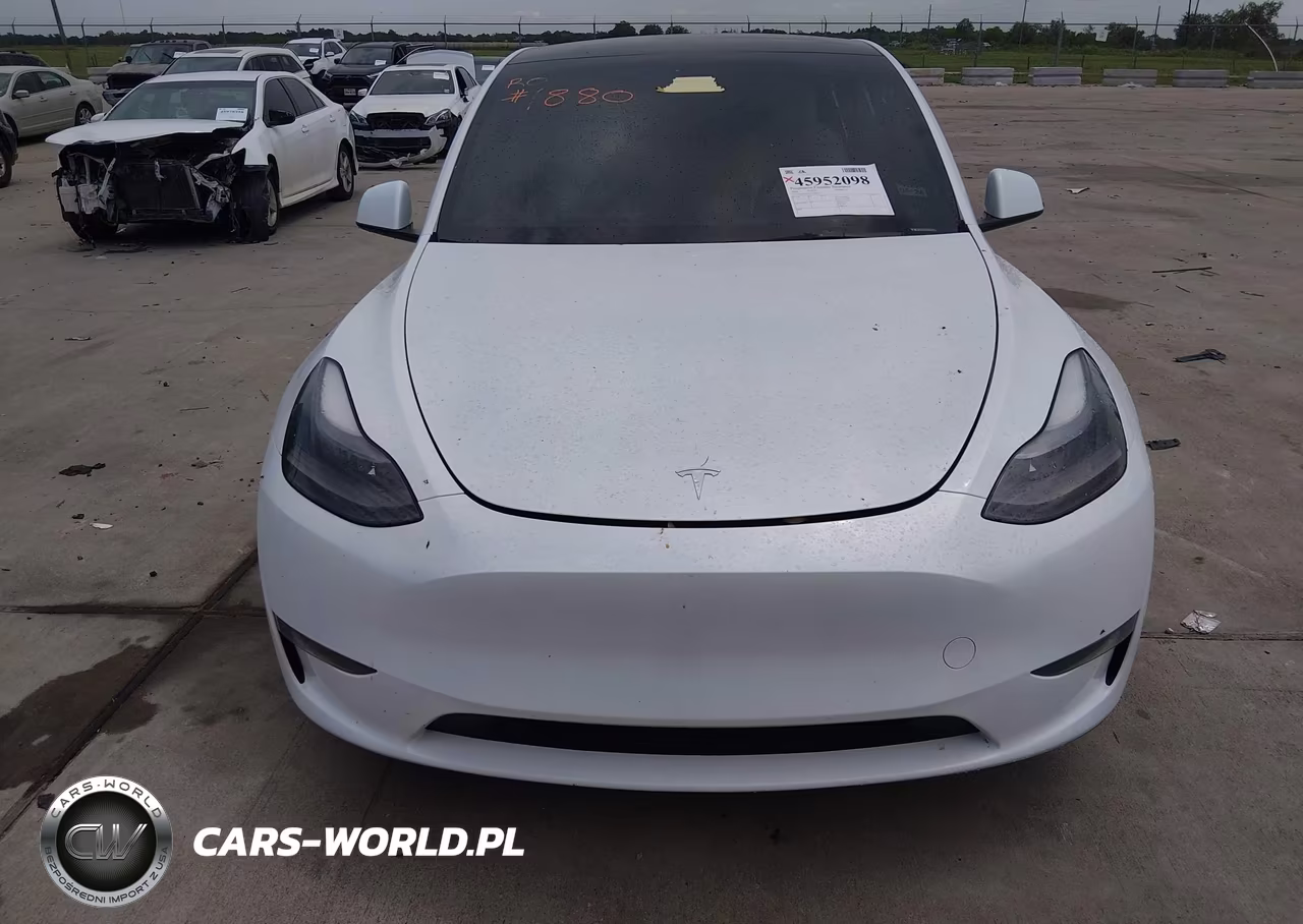 2024 Tesla Model Y Performance Dual Motor All-Wheel Drive VIN:7SAYGDEF1RA269349 - 12