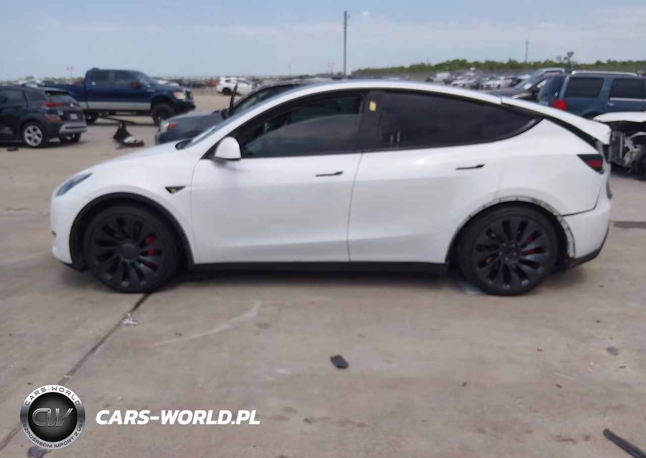 2024 Tesla Model Y Performance Dual Motor All-Wheel Drive VIN:7SAYGDEF1RA269349 - 14