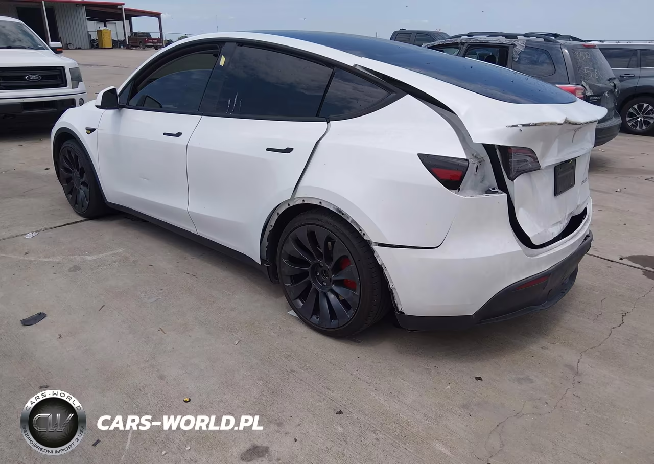 2024 Tesla Model Y Performance Dual Motor All-Wheel Drive VIN:7SAYGDEF1RA269349 - 3