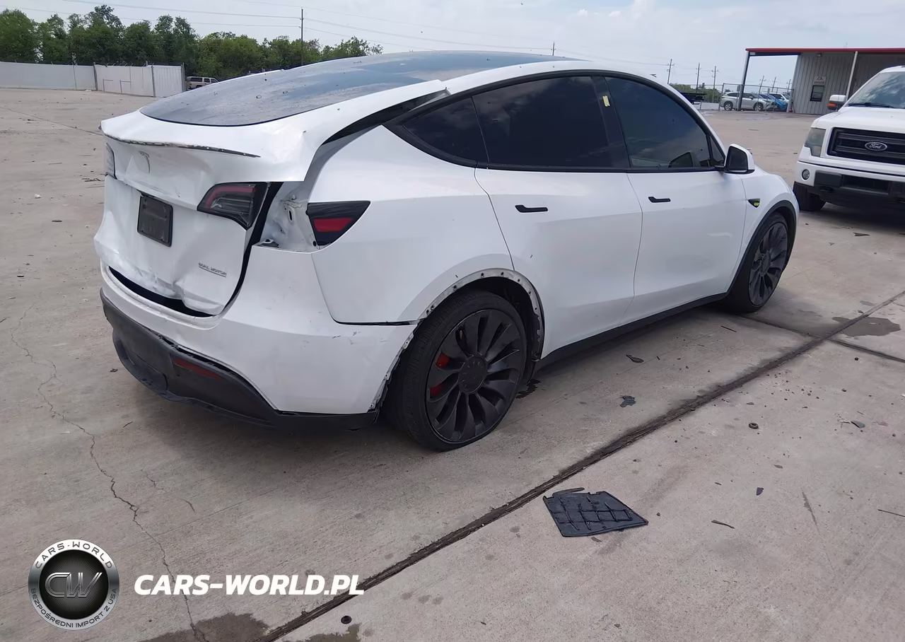 2024 Tesla Model Y Performance Dual Motor All-Wheel Drive VIN:7SAYGDEF1RA269349 - 4