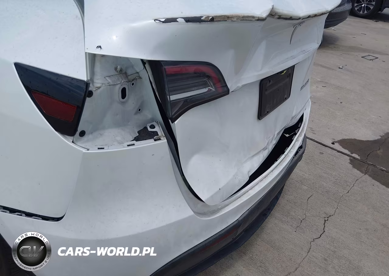 2024 Tesla Model Y Performance Dual Motor All-Wheel Drive VIN:7SAYGDEF1RA269349 - 6