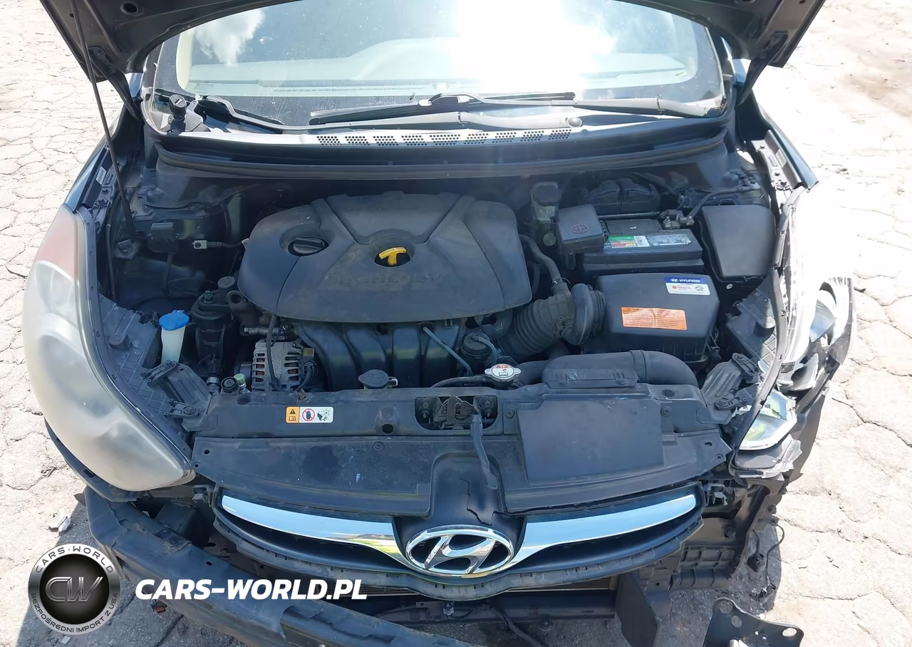 2013 Hyundai Elantra Gls VIN:KMHDH4AE1DU614318 - 10