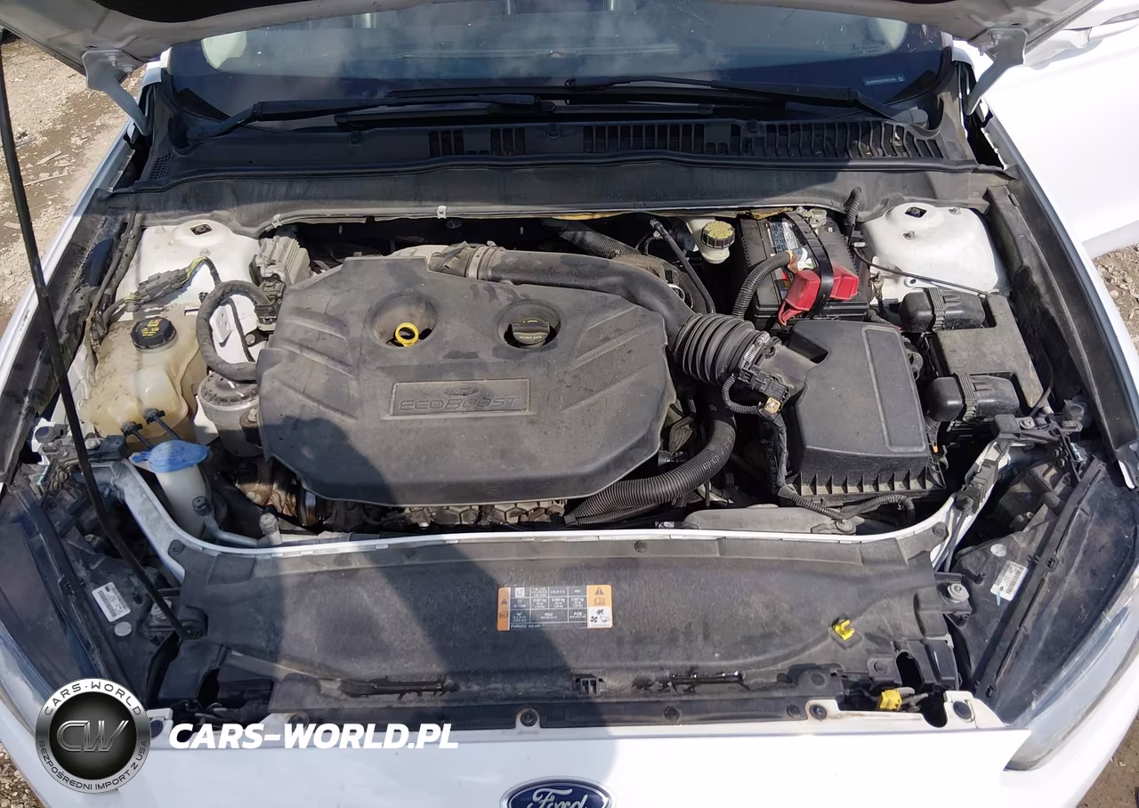 2013 Ford Fusion Titanium VIN:3FA6P0K92DR331806 - 10