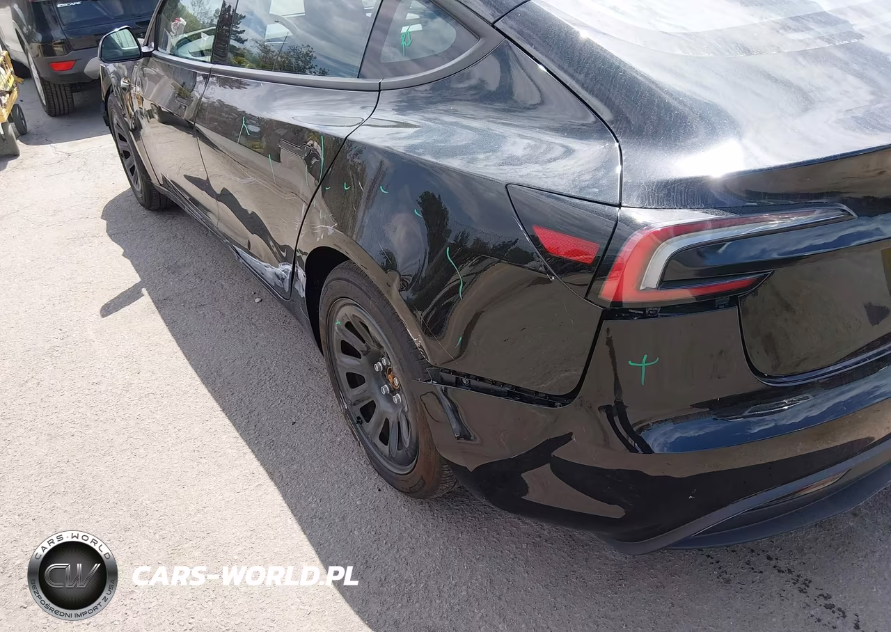 2025 Tesla Model 3 Long Range Rear-Wheel Drive-Standard Rear-Wheel Drive VIN:5YJ3E1EA7SF136751 - 22
