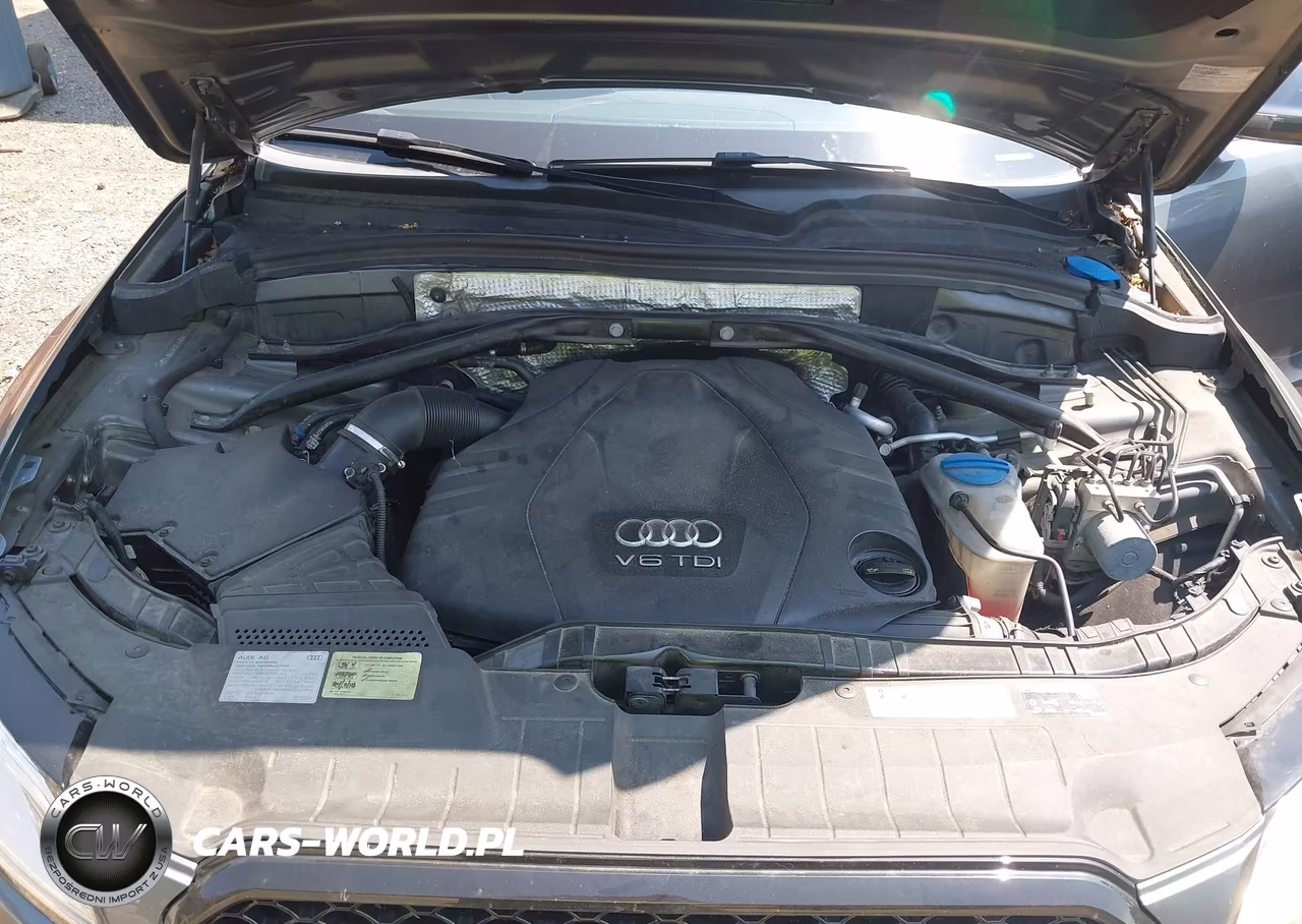 2014 Audi Q5 3.0 Tdi Premium Plus VIN:WA1CMAFP4EA090132 - 10