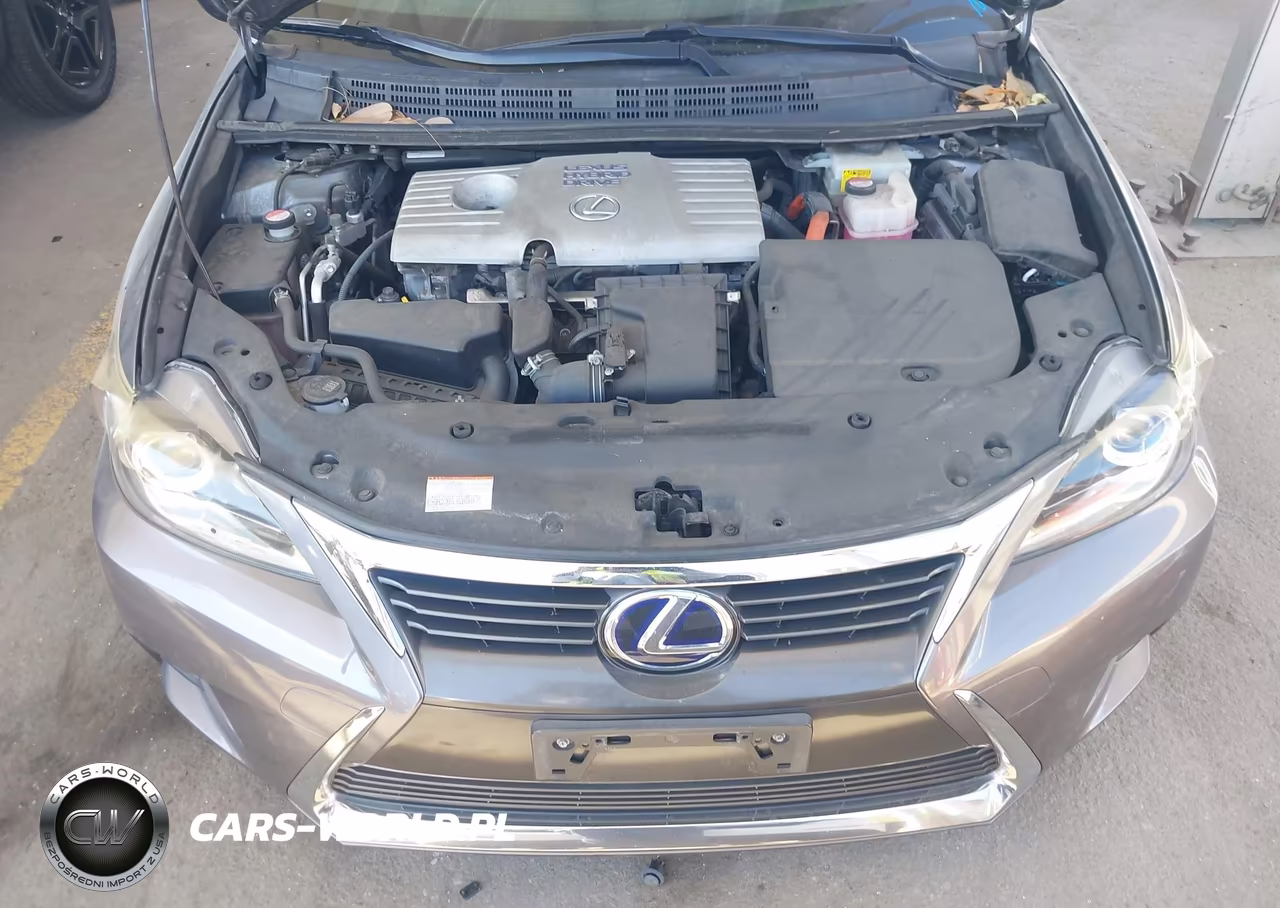 2016 Lexus Ct 200H VIN:JTHKD5BH2G2252696 - 10