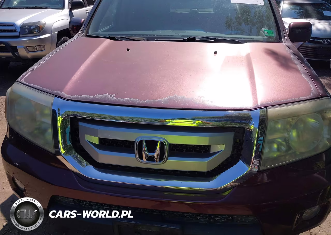 2009 Honda Pilot Touring VIN:5FNYF38969B006843 - 6