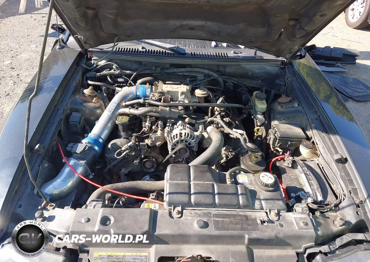 2002 Ford Mustang Gt VIN:1FAFP42X42F132840 - 10