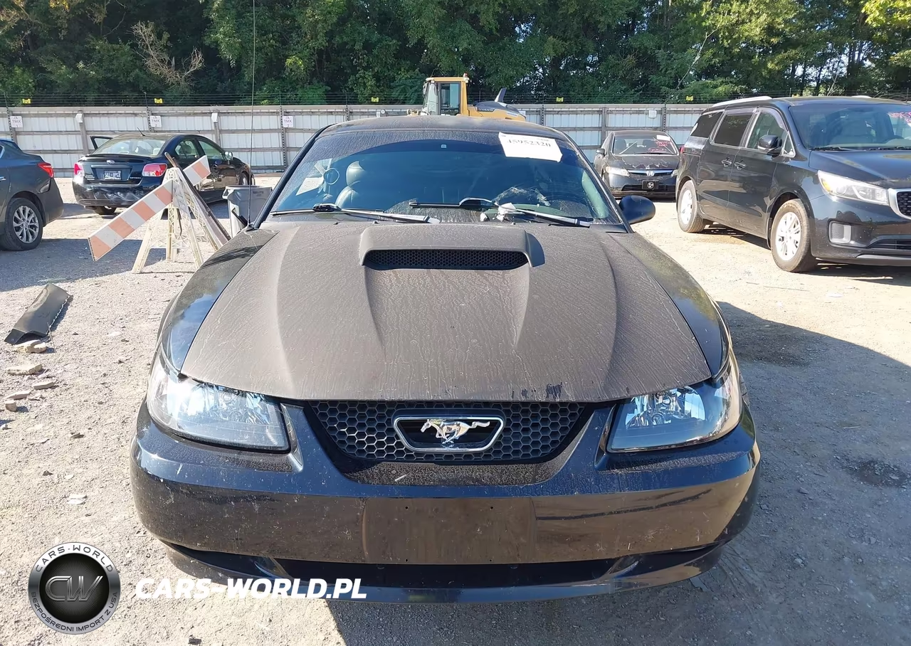 2002 Ford Mustang Gt VIN:1FAFP42X42F132840 - 12
