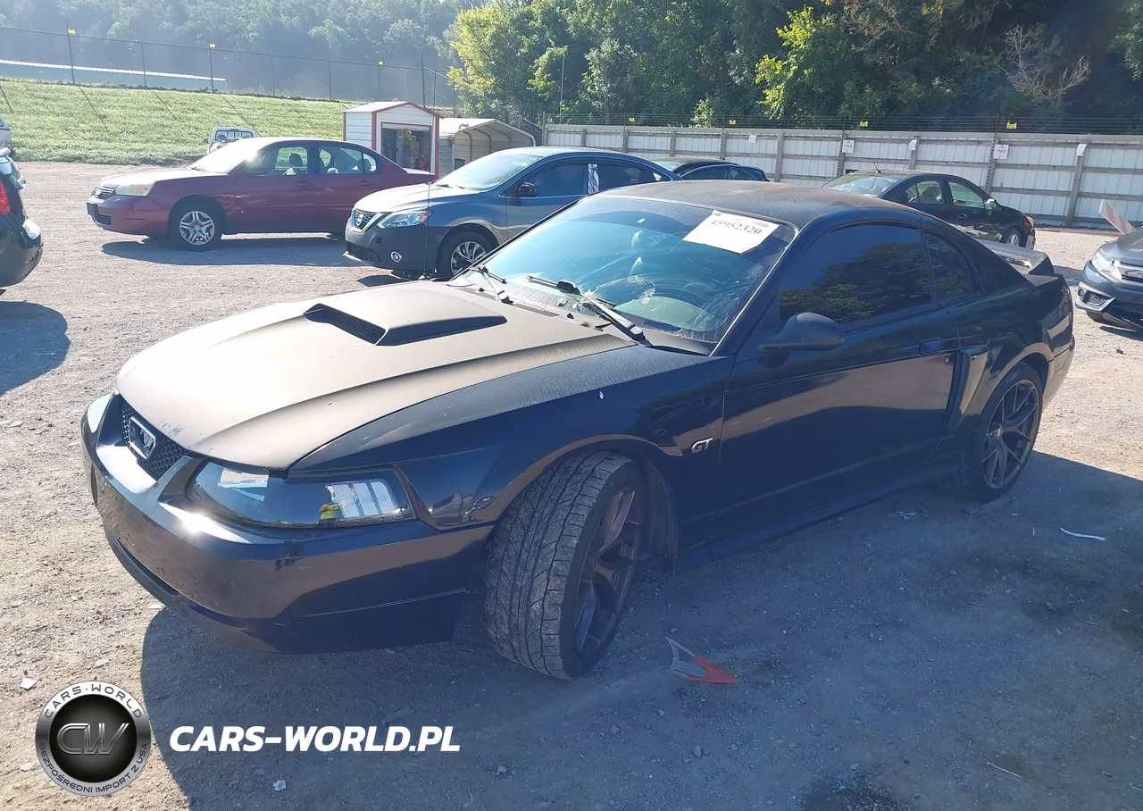 2002 Ford Mustang Gt VIN:1FAFP42X42F132840 - 2