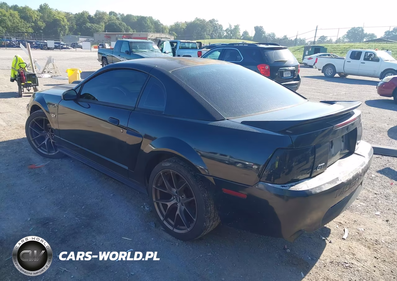 2002 Ford Mustang Gt VIN:1FAFP42X42F132840 - 3