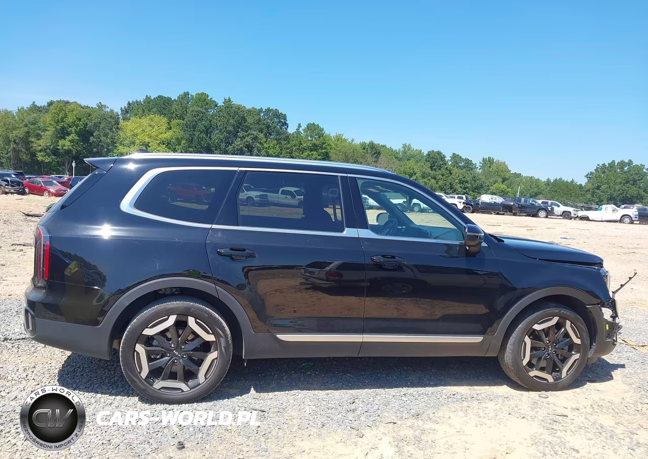 2024 Kia Telluride Ex VIN:5XYP34GC9RG430078 - 13