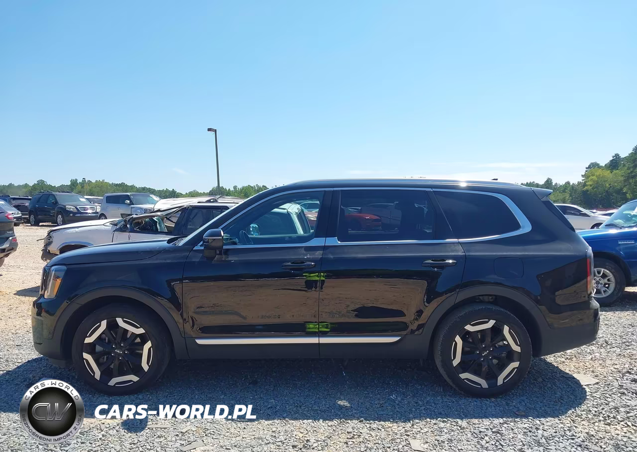 2024 Kia Telluride Ex VIN:5XYP34GC9RG430078 - 14