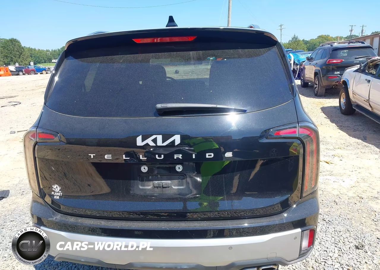 2024 Kia Telluride Ex VIN:5XYP34GC9RG430078 - 16