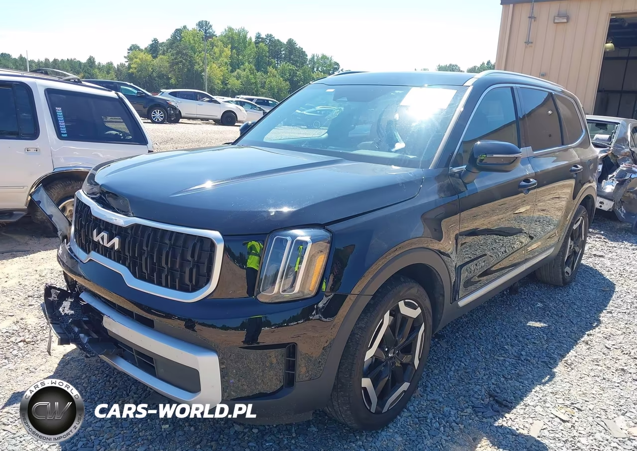 2024 Kia Telluride Ex VIN:5XYP34GC9RG430078 - 2