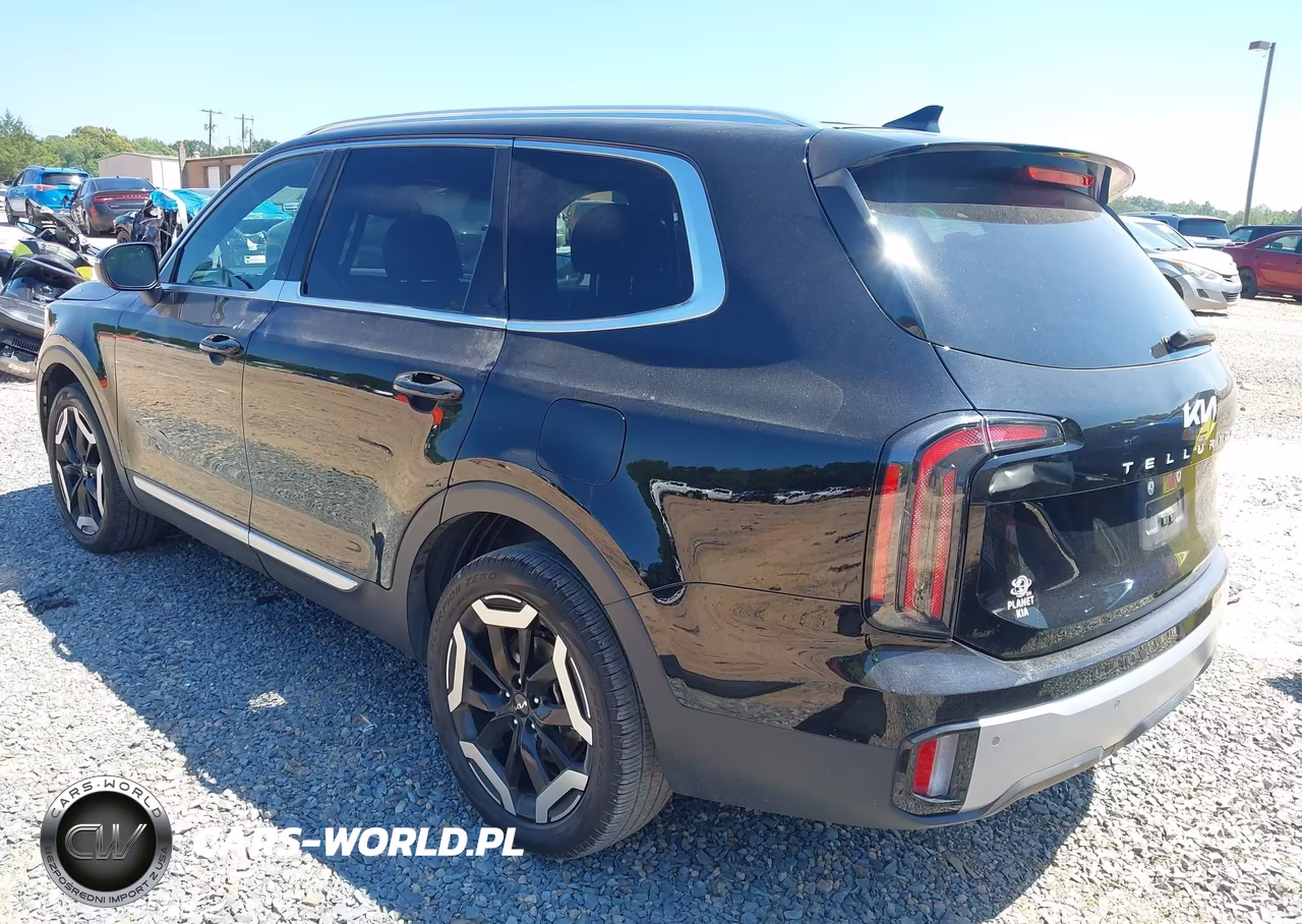 2024 Kia Telluride Ex VIN:5XYP34GC9RG430078 - 3