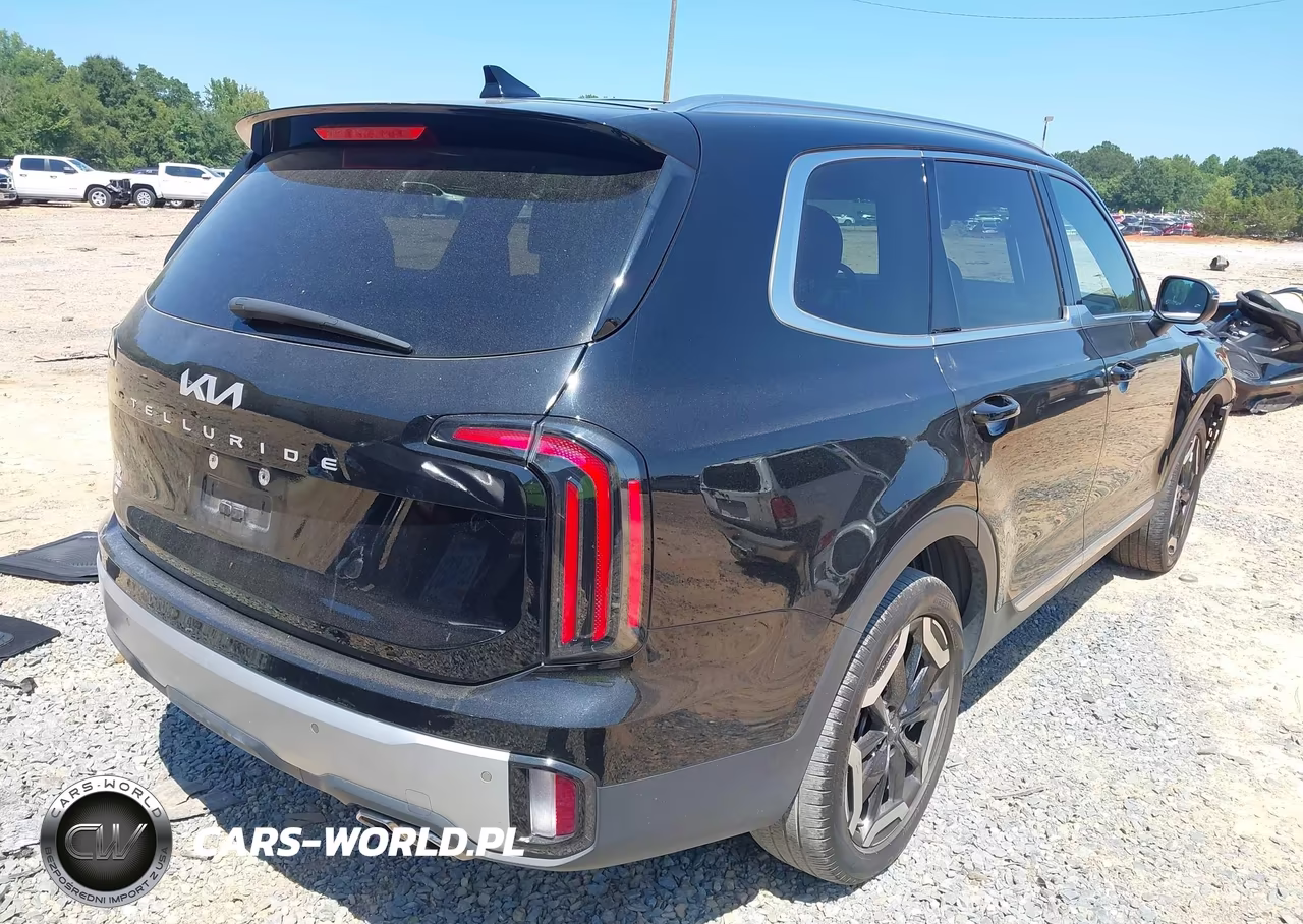 2024 Kia Telluride Ex VIN:5XYP34GC9RG430078 - 4
