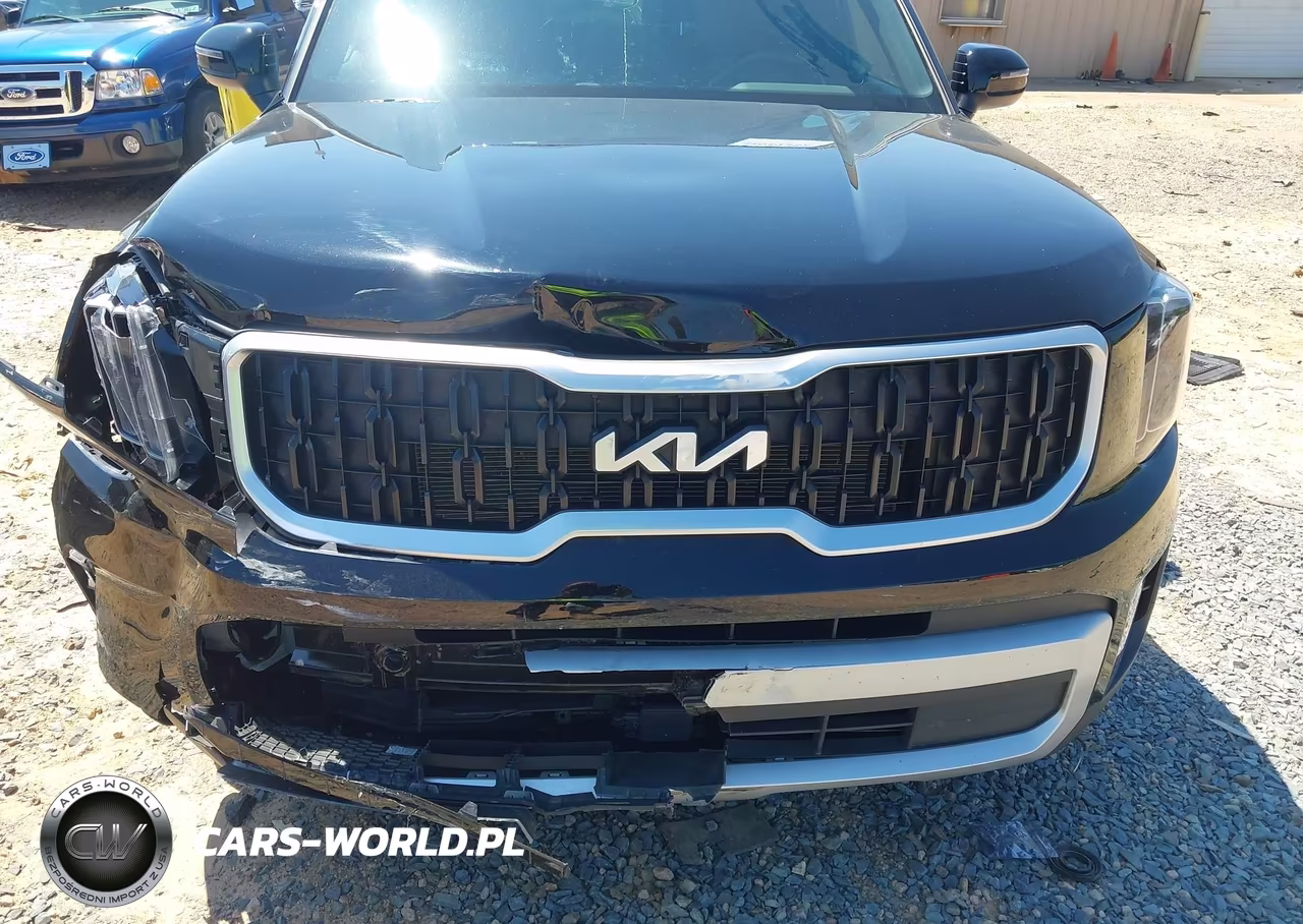 2024 Kia Telluride Ex VIN:5XYP34GC9RG430078 - 6