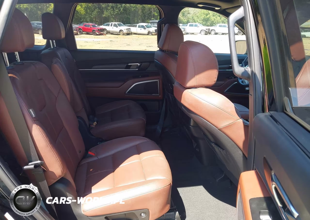 2024 Kia Telluride Ex VIN:5XYP34GC9RG430078 - 8
