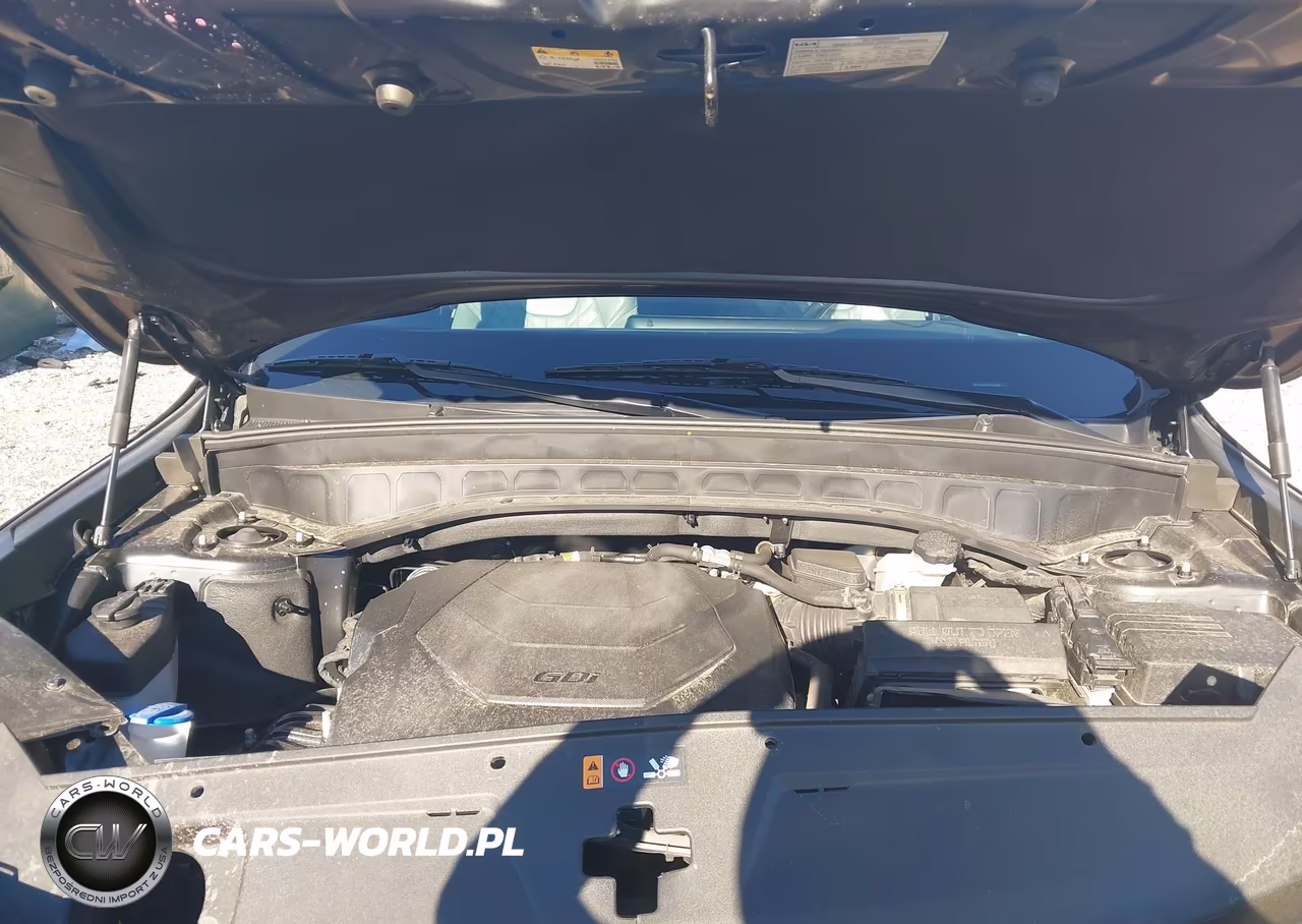 2023 Kia Telluride Sx X-Pro VIN:5XYP5DGC7PG352536 - 10