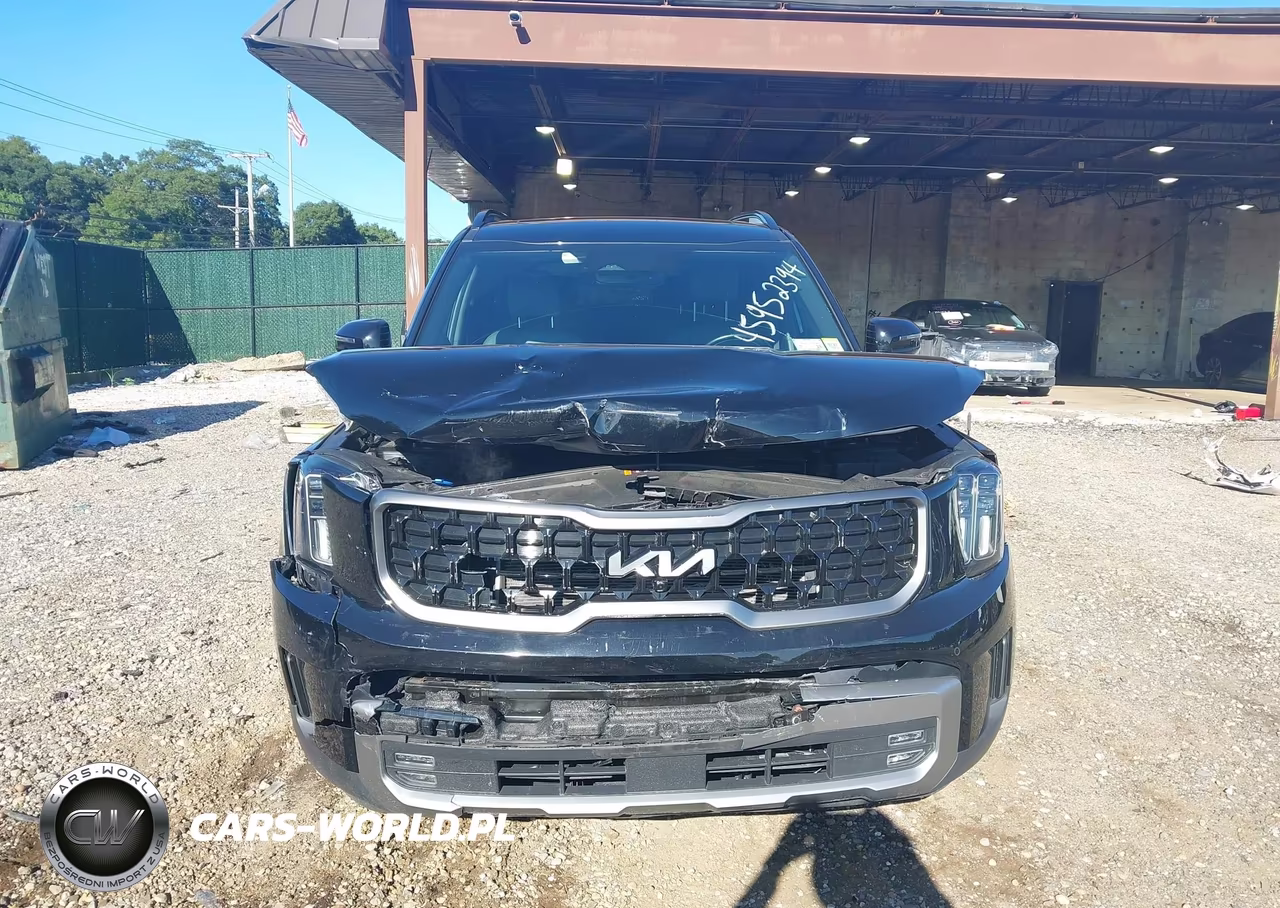 2023 Kia Telluride Sx X-Pro VIN:5XYP5DGC7PG352536 - 12