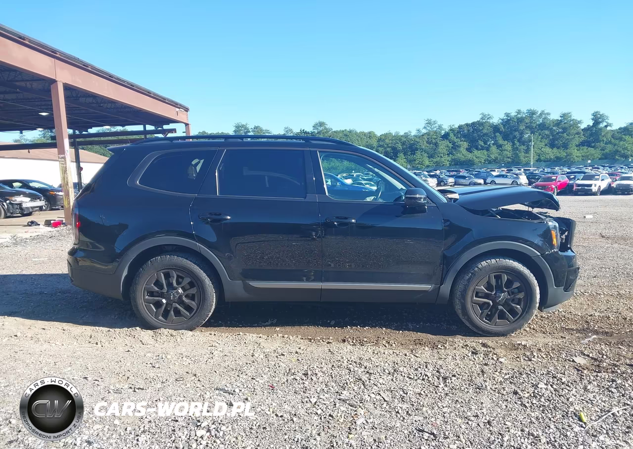 2023 Kia Telluride Sx X-Pro VIN:5XYP5DGC7PG352536 - 13