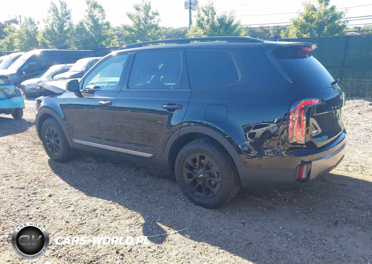 2023 Kia Telluride Sx X-Pro VIN:5XYP5DGC7PG352536 - 3