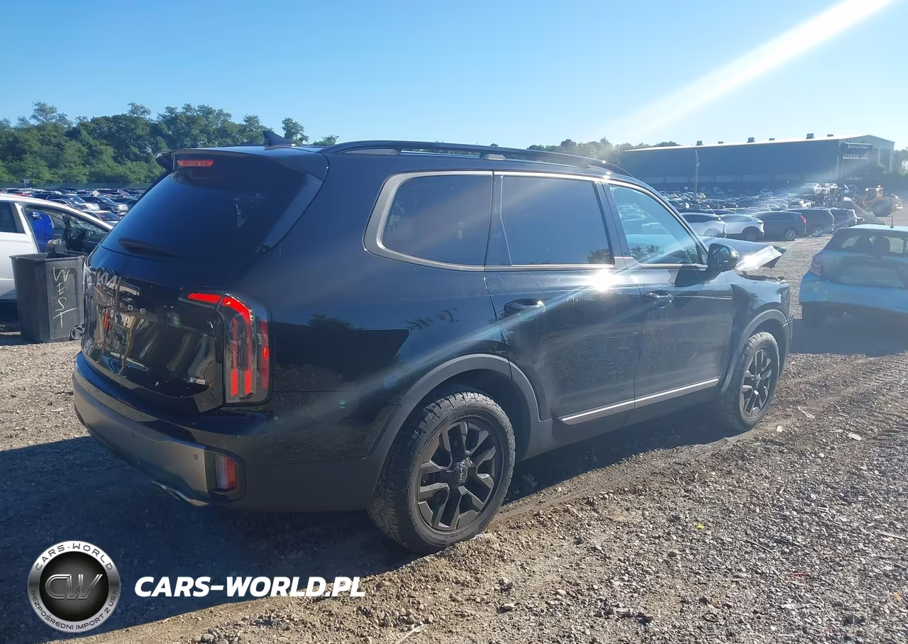 2023 Kia Telluride Sx X-Pro VIN:5XYP5DGC7PG352536 - 4