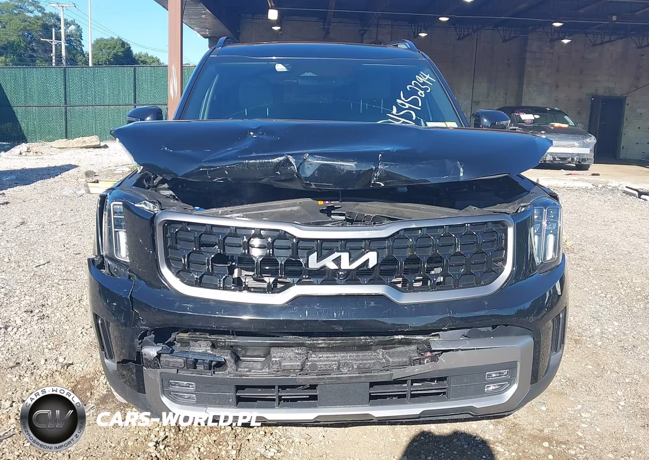 2023 Kia Telluride Sx X-Pro VIN:5XYP5DGC7PG352536 - 6