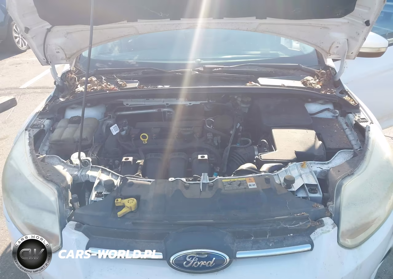 2014 Ford Focus Se VIN:1FADP3F20EL203148 - 10
