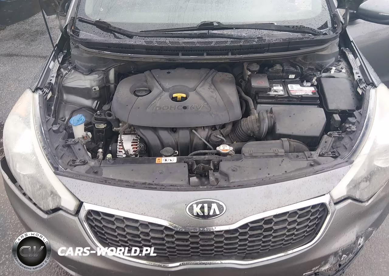 2016 Kia Forte Lx VIN:KNAFX4A63G5537648 - 10