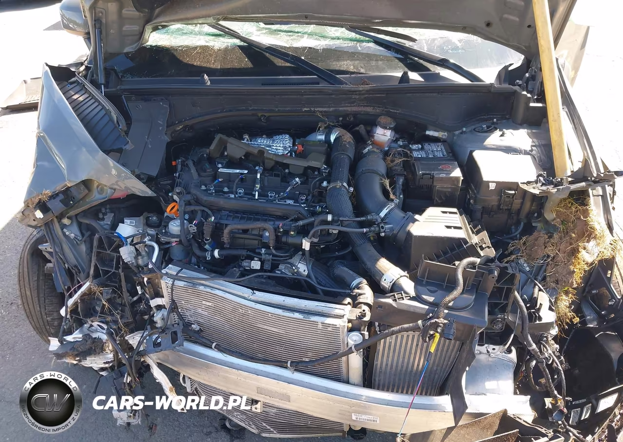 2025 Hyundai Santa Fe Sel VIN:5NMP2DGL5SH068202 - 10