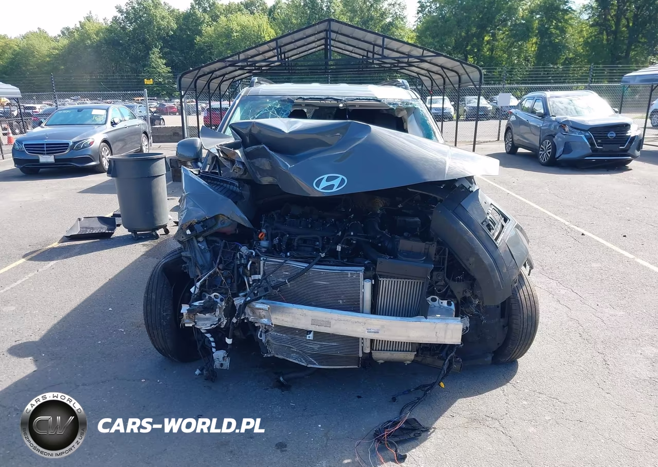 2025 Hyundai Santa Fe Sel VIN:5NMP2DGL5SH068202 - 12