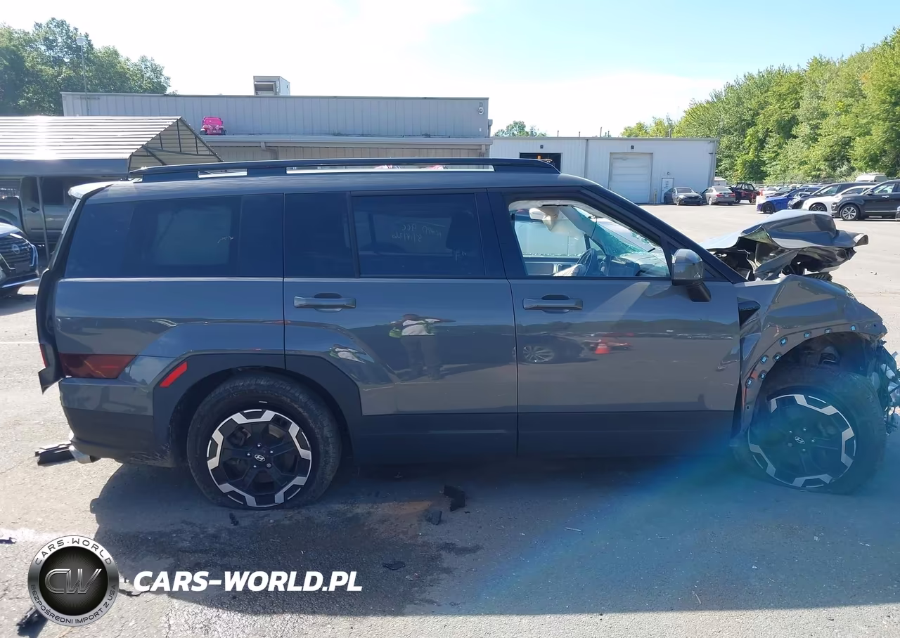 2025 Hyundai Santa Fe Sel VIN:5NMP2DGL5SH068202 - 13