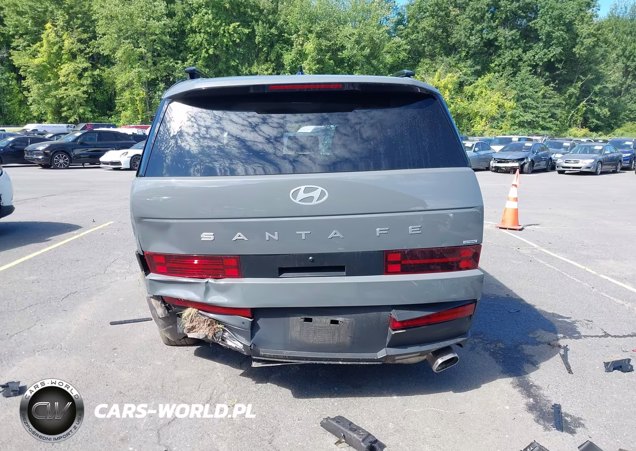 2025 Hyundai Santa Fe Sel VIN:5NMP2DGL5SH068202 - 16