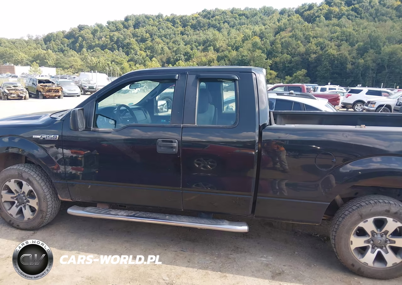 2014 Ford F-150 Stx VIN:1FTEX1CM1EFB44263 - 14