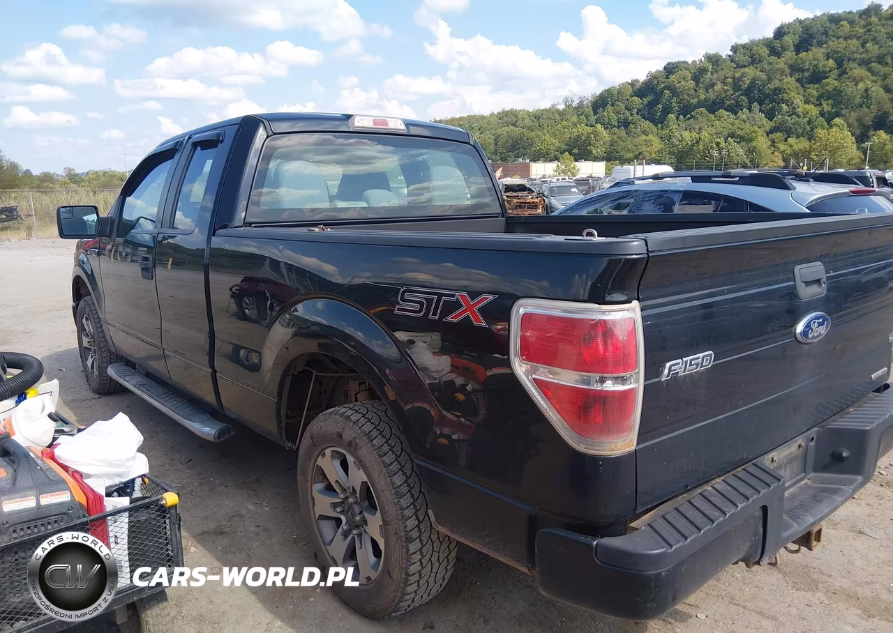 2014 Ford F-150 Stx VIN:1FTEX1CM1EFB44263 - 3