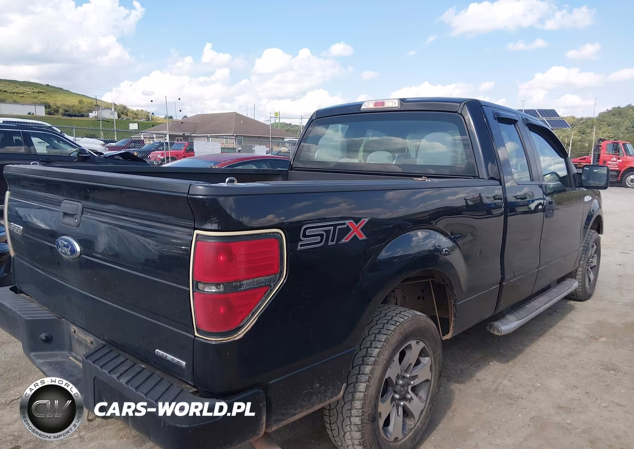 2014 Ford F-150 Stx VIN:1FTEX1CM1EFB44263 - 4