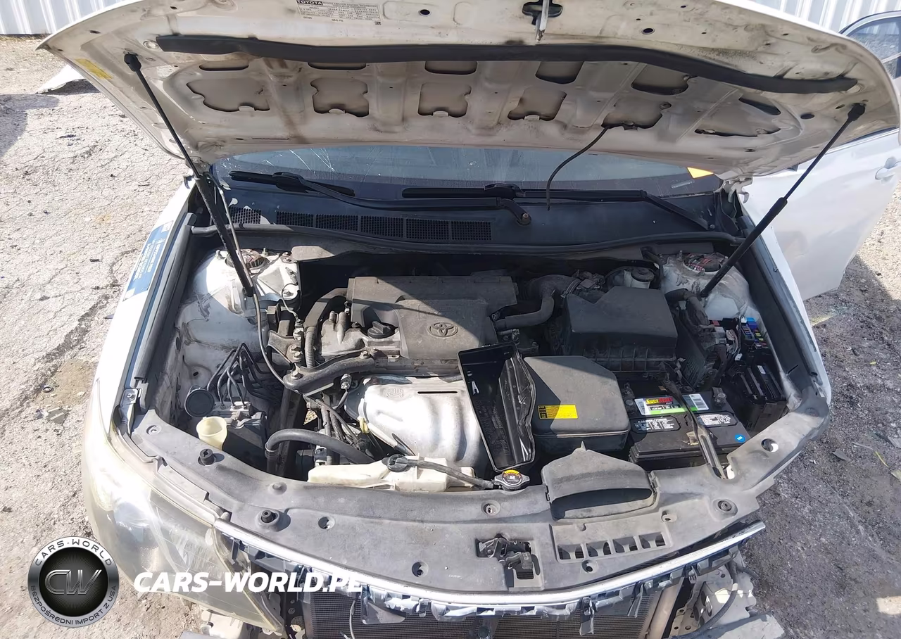 2014 Toyota Camry Se VIN:4T1BF1FK7EU753378 - 10