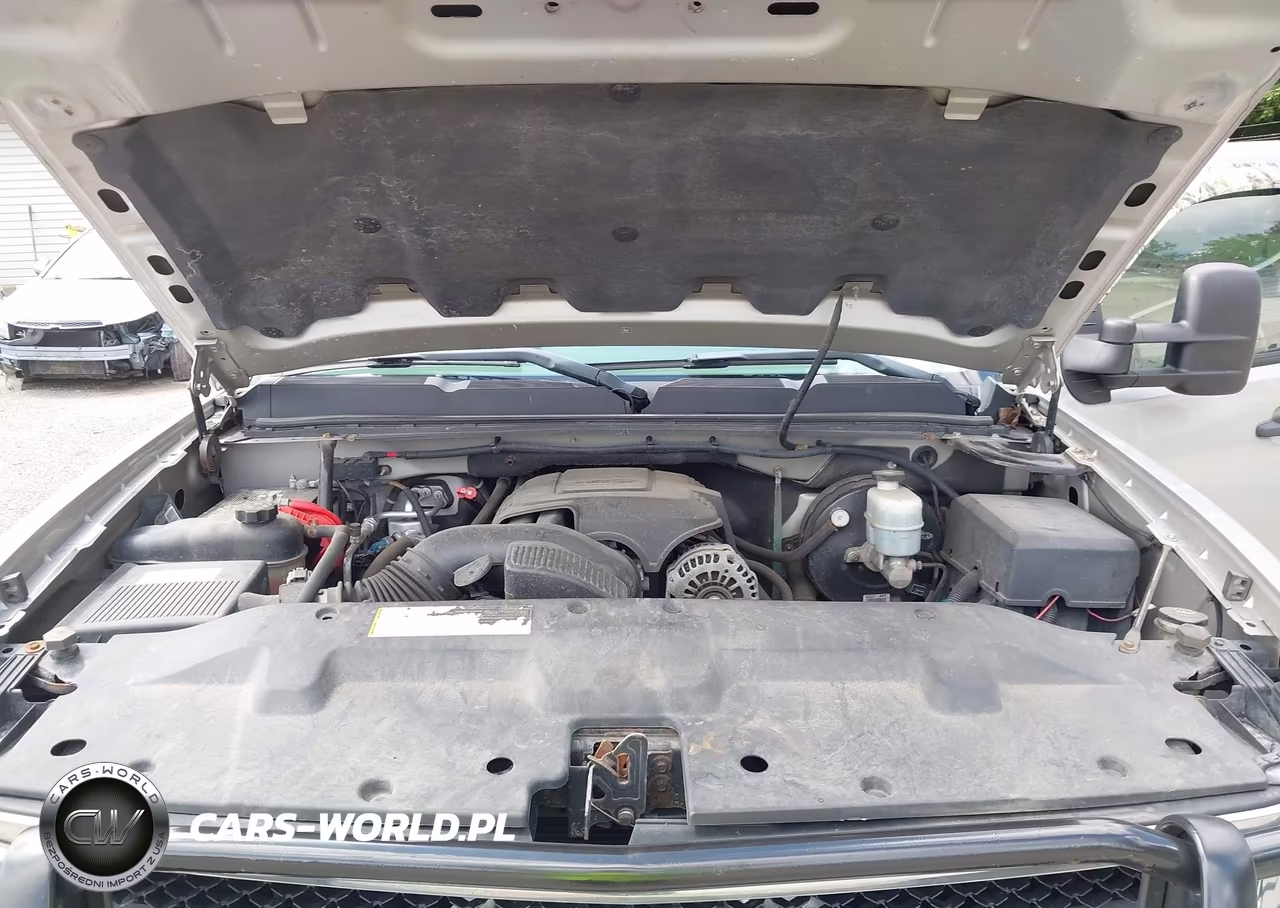2009 Chevrolet Silverado 1500 Work Truck VIN:1GCEK19C69Z148259 - 10