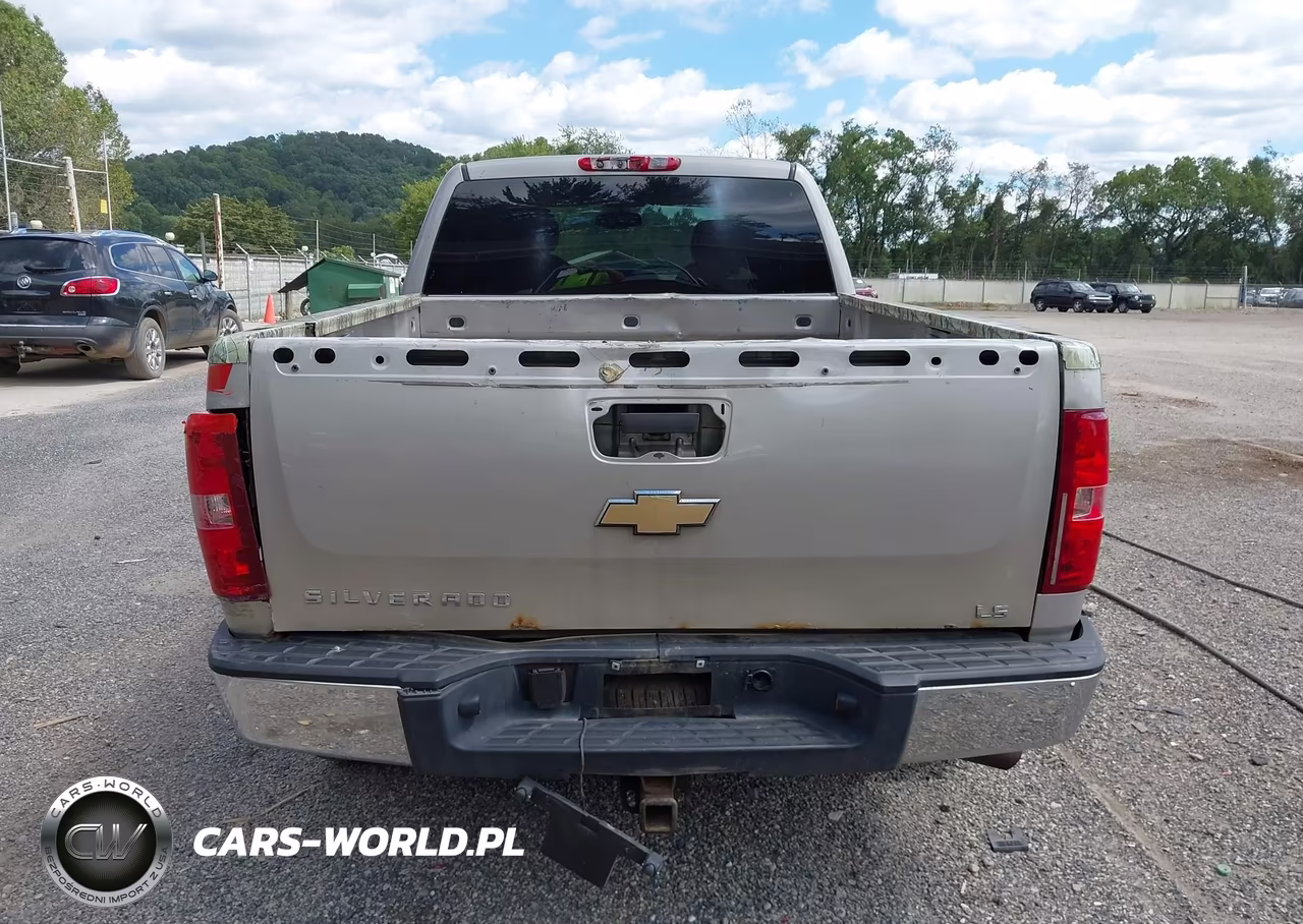 2009 Chevrolet Silverado 1500 Work Truck VIN:1GCEK19C69Z148259 - 17