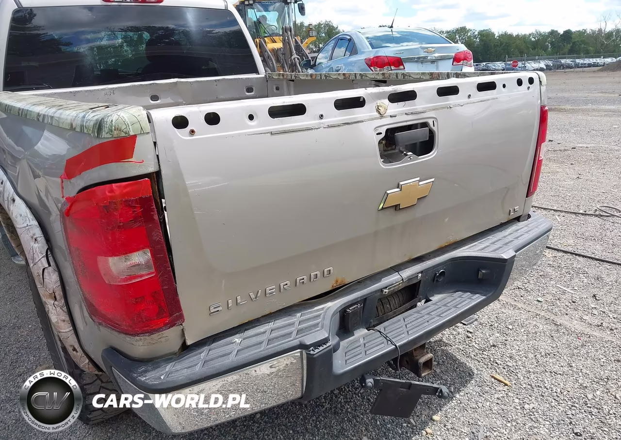 2009 Chevrolet Silverado 1500 Work Truck VIN:1GCEK19C69Z148259 - 18